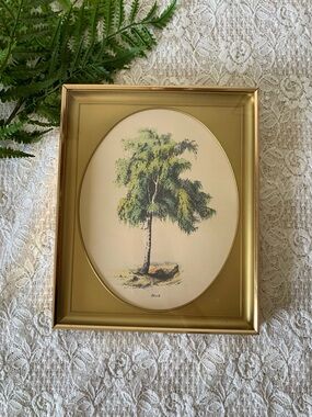 Vintage Oval Brass Framed Birch Decor 8x10